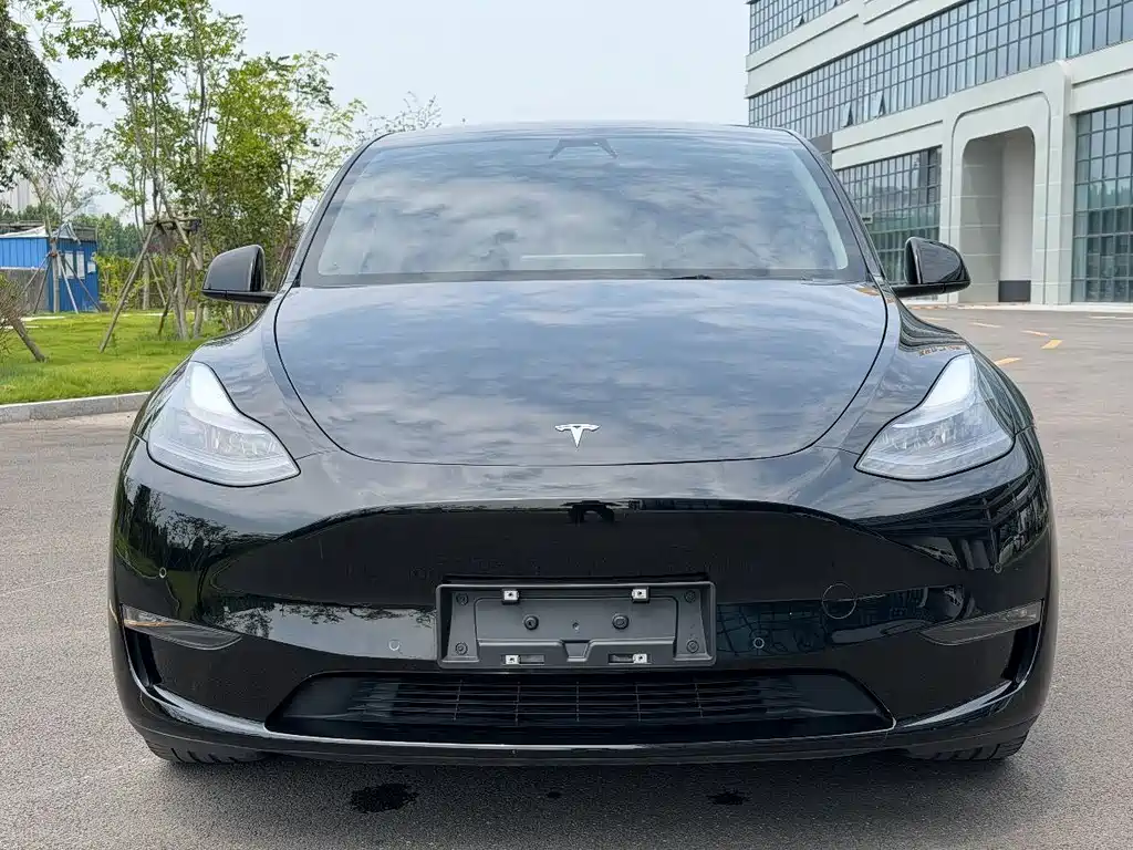 Tesla Model Y — фото 2