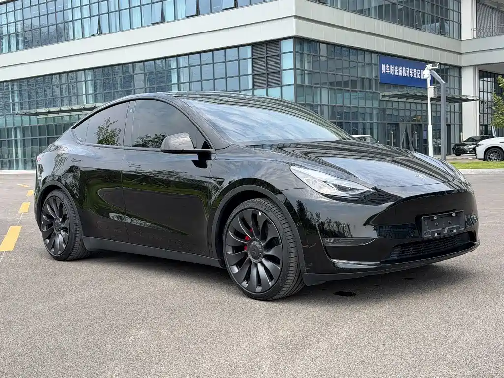 Tesla Model Y — фото 3
