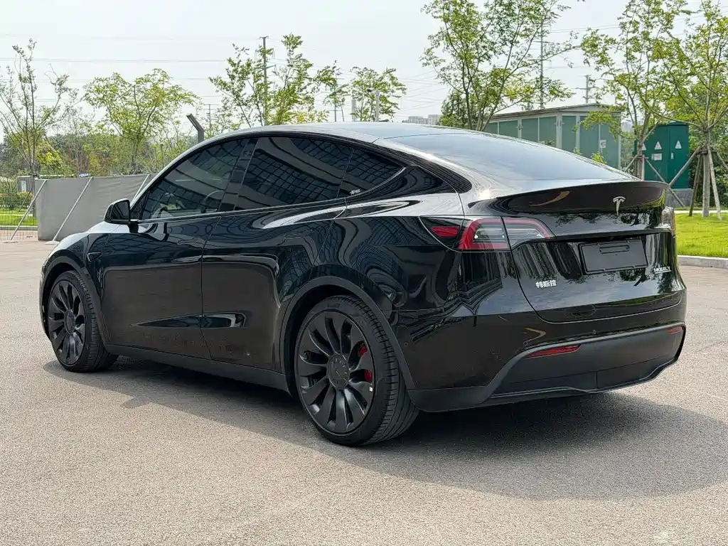 Tesla Model Y — фото 6