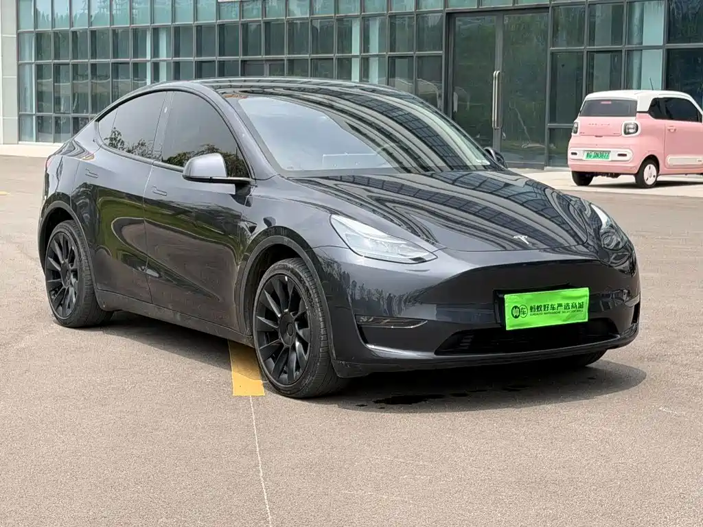 Tesla Model Y — фото 3