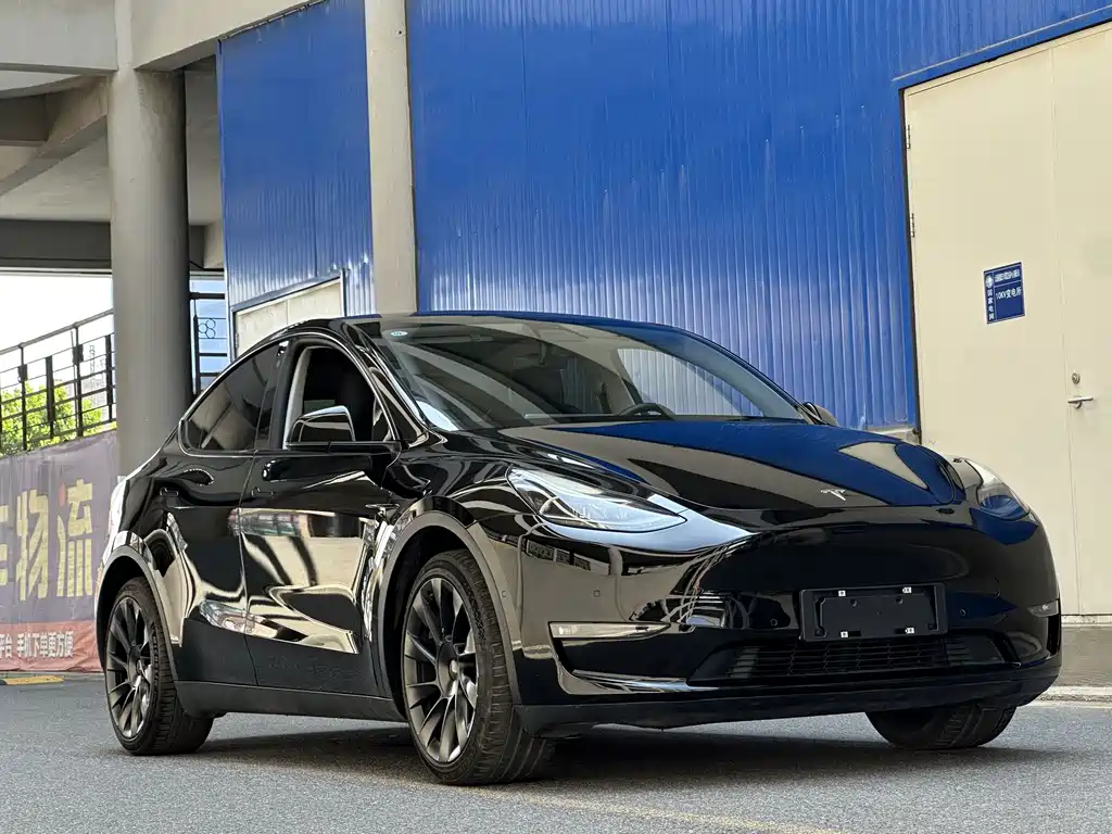 Tesla Model Y — фото 3
