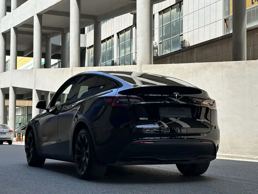 Tesla Model Y — фото 6