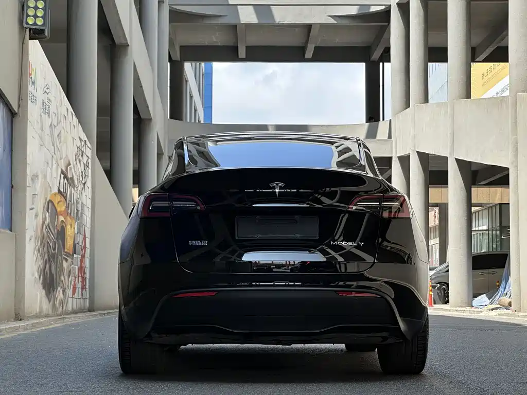 Tesla Model Y — фото 8