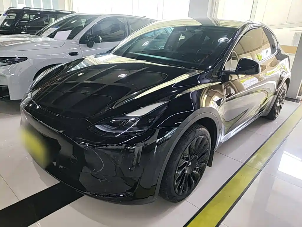 Tesla Model Y — фото 2