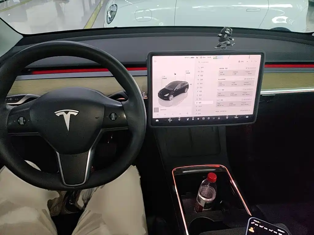 Tesla Model Y — фото 10