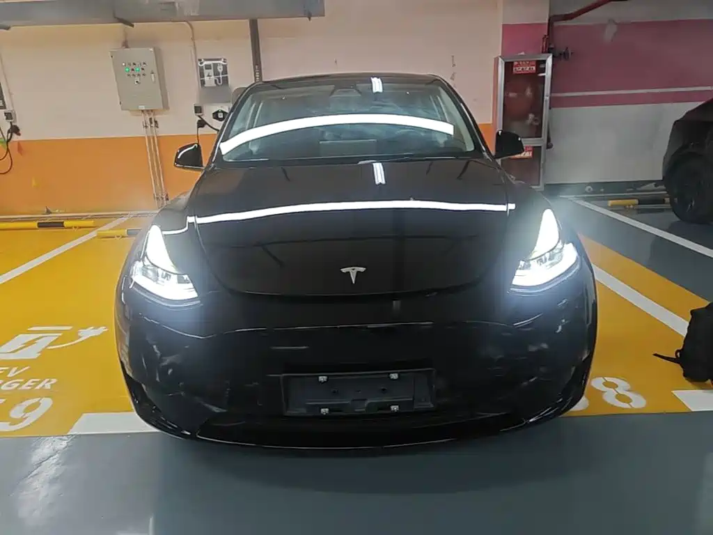 Tesla Model Y — фото 3