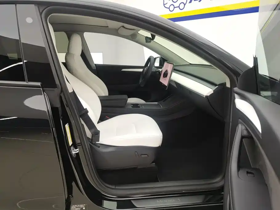 Tesla Model Y — фото 8