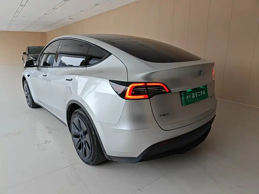 Tesla Model Y — фото 5