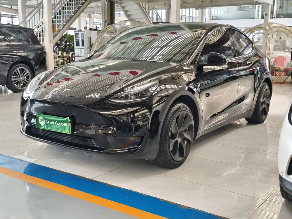 Tesla Model Y — фото 2
