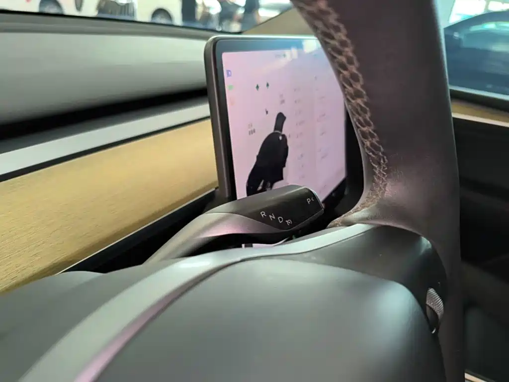 Tesla Model Y — фото 14