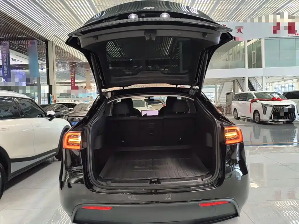 Tesla Model Y — фото 19