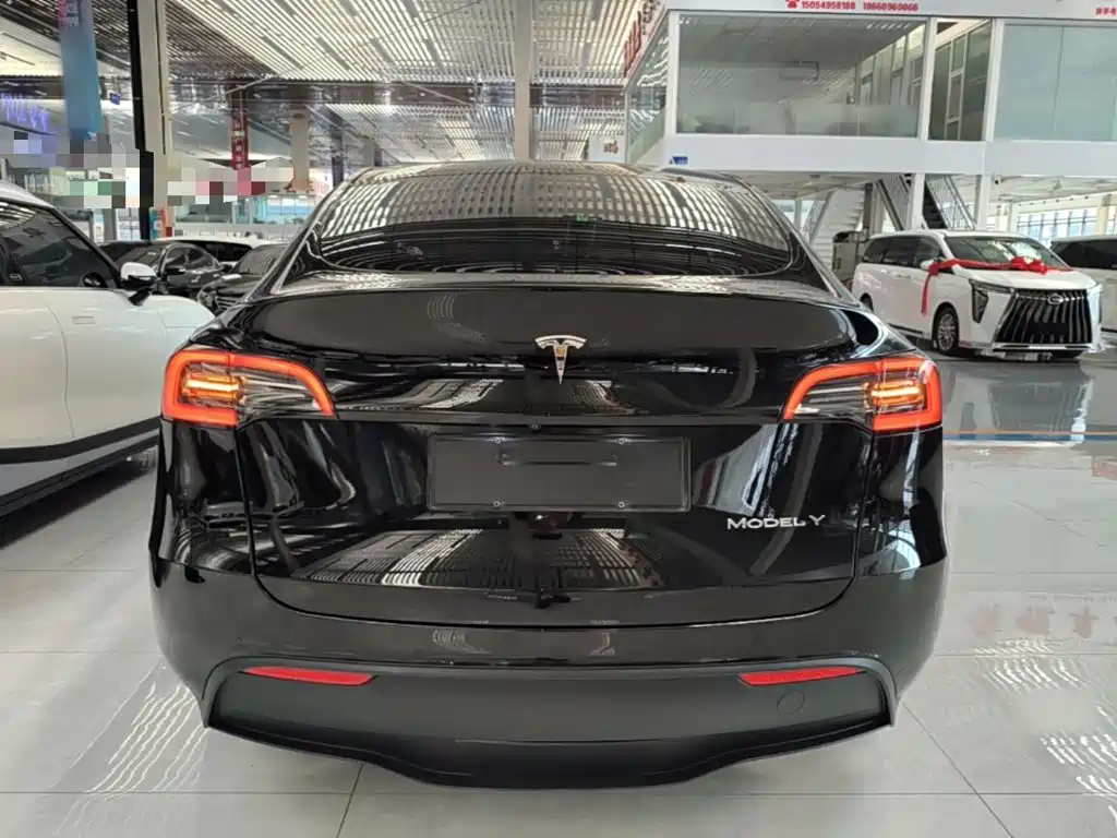Tesla Model Y — фото 6