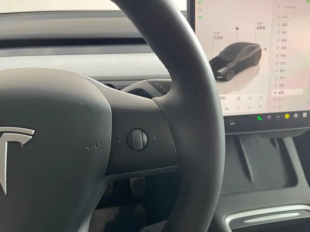 Tesla Model Y — фото 14