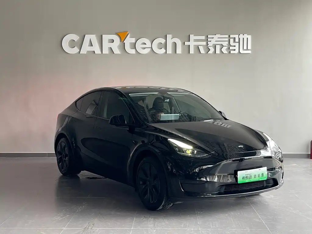 Tesla Model Y — фото 3