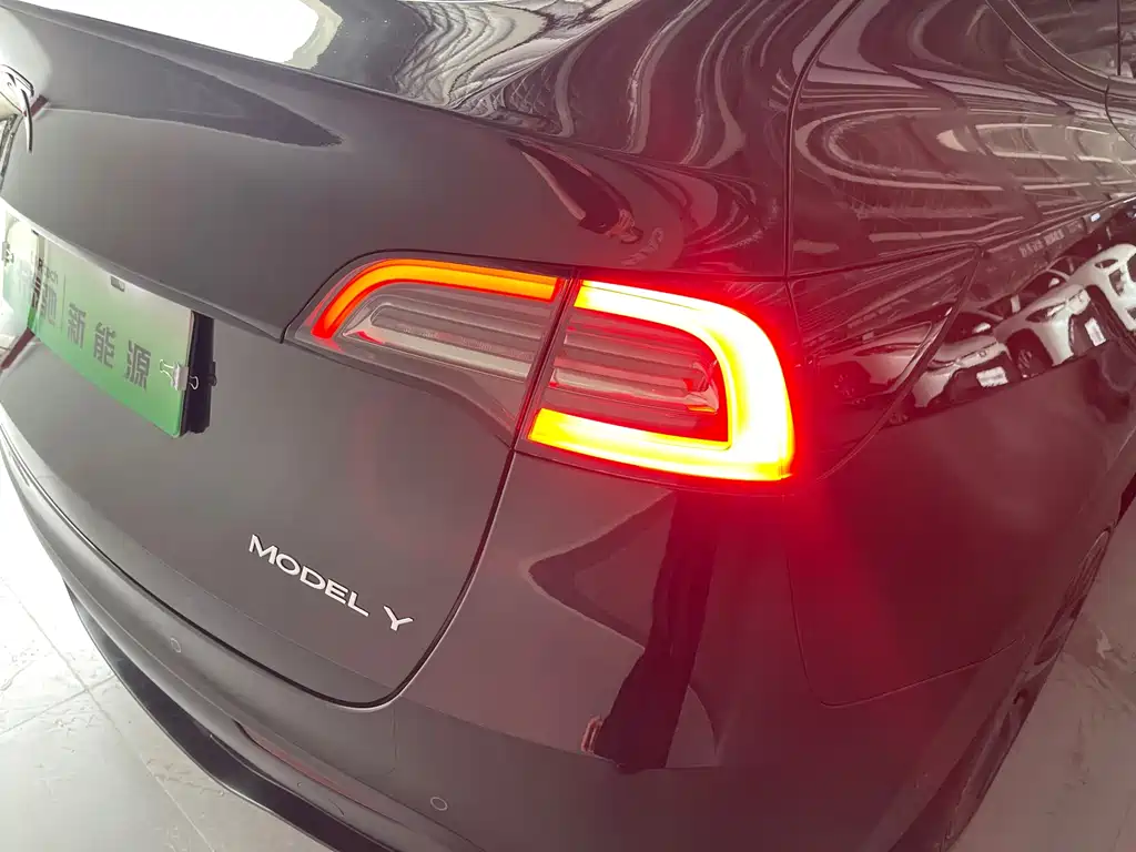 Tesla Model Y — фото 28