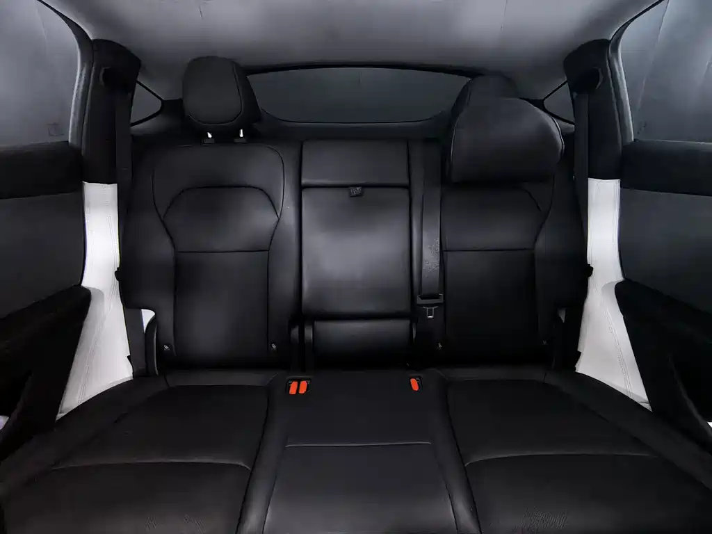Tesla Model Y — фото 13