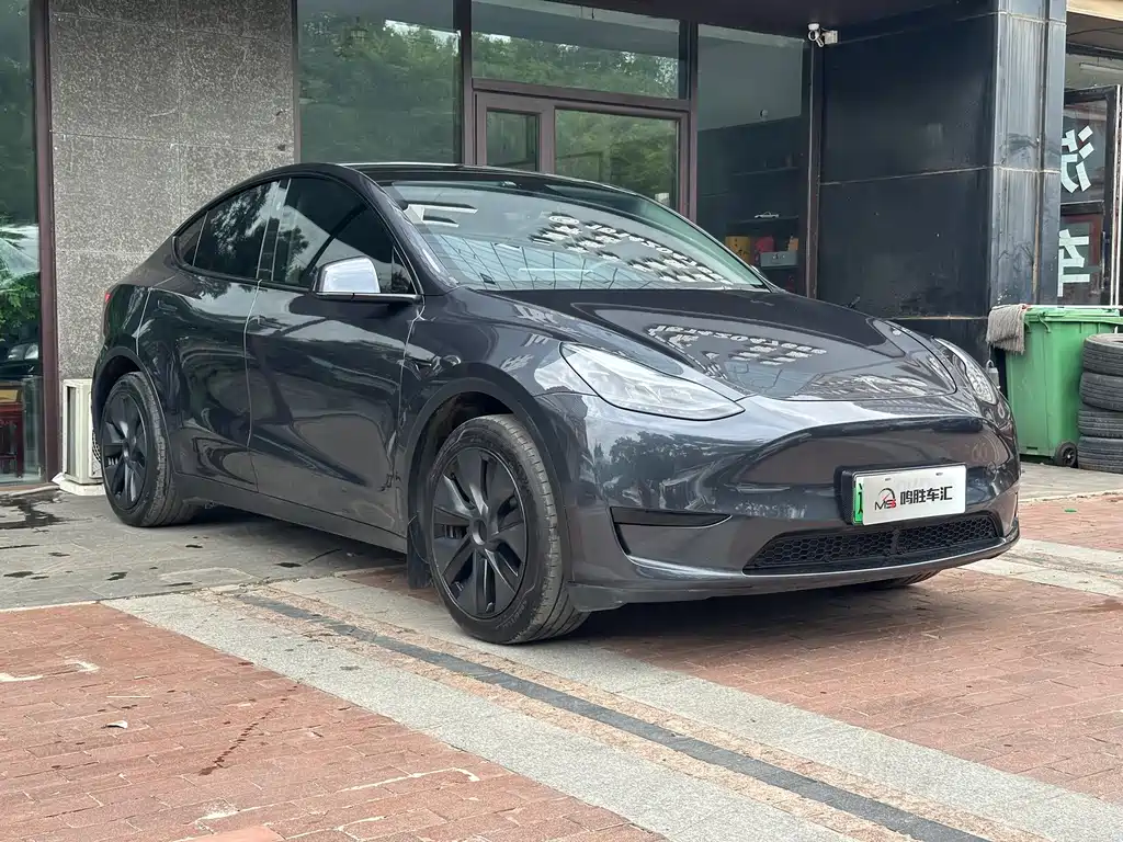 Tesla Model Y — фото 2