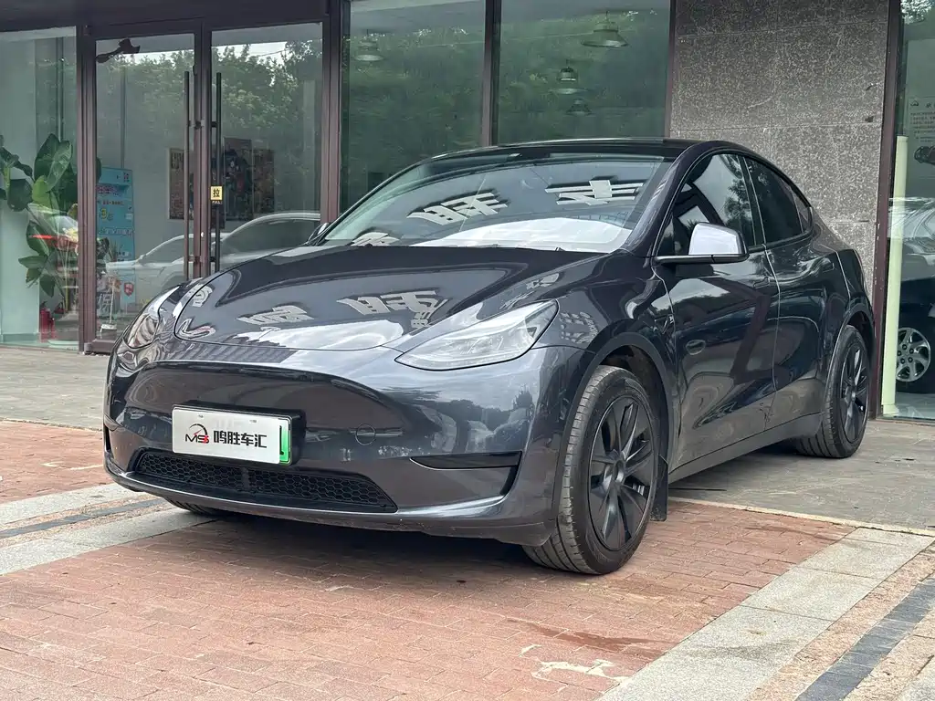 Tesla Model Y — фото 3
