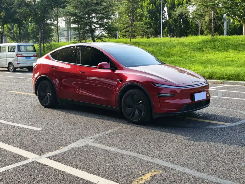 Tesla Model Y — фото 3