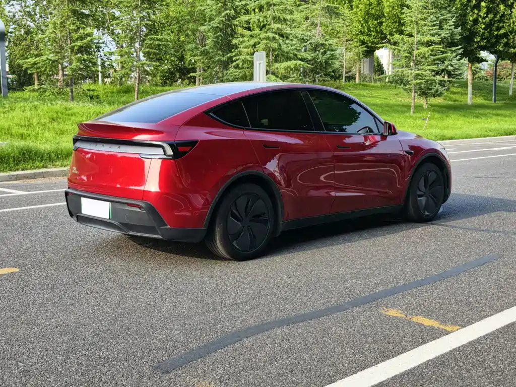 Tesla Model Y — фото 4