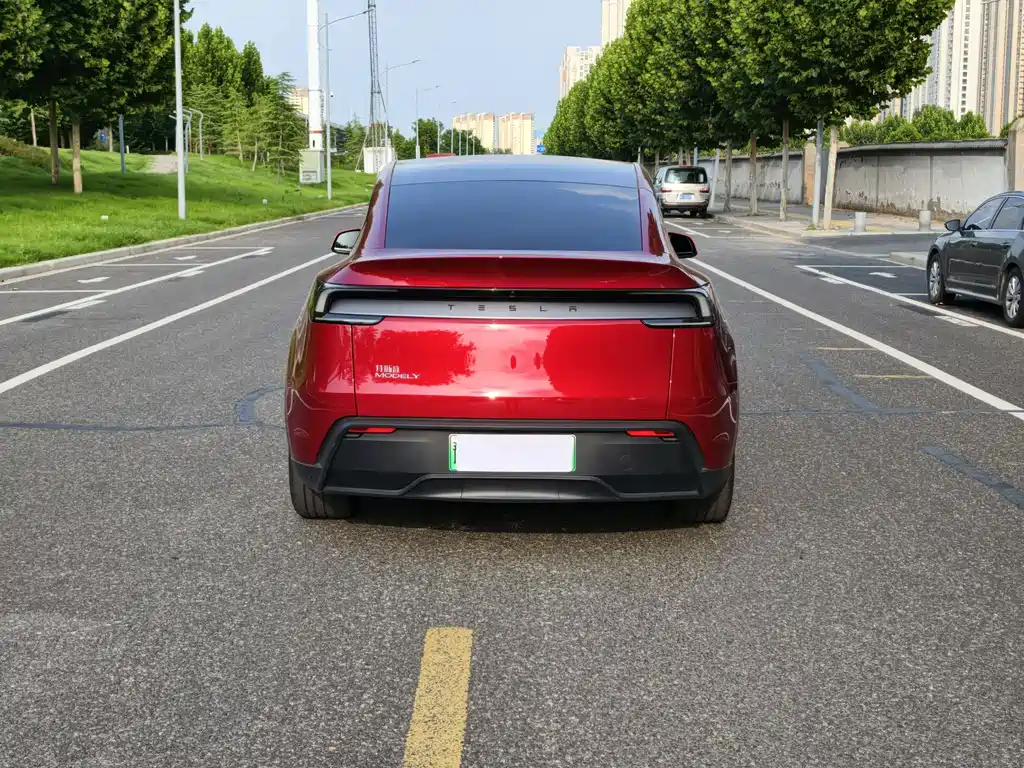 Tesla Model Y — фото 5