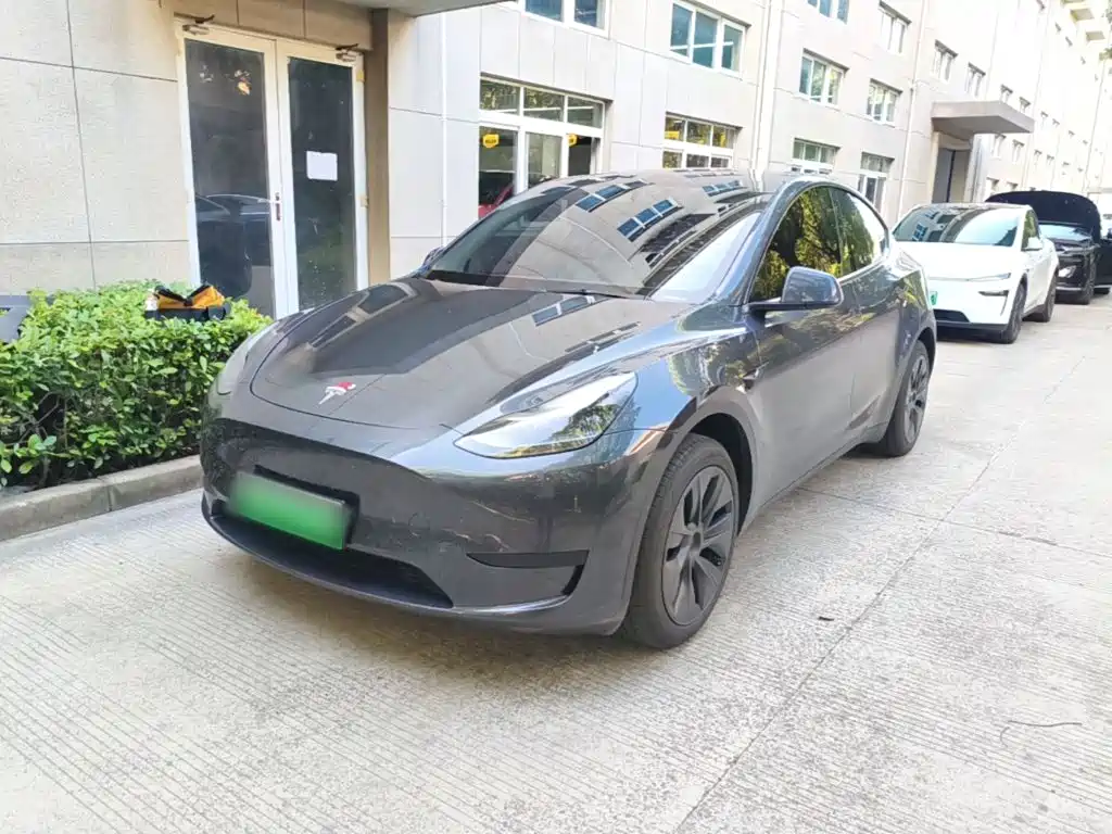 Tesla Model Y — фото 2
