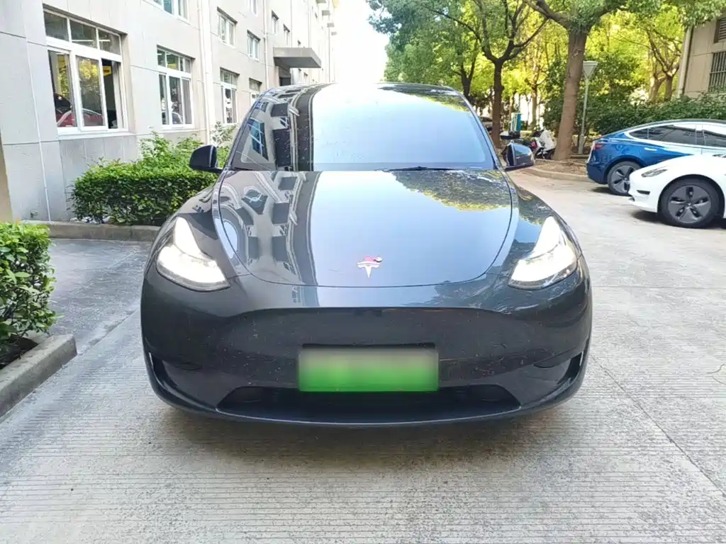 Tesla Model Y — фото 3
