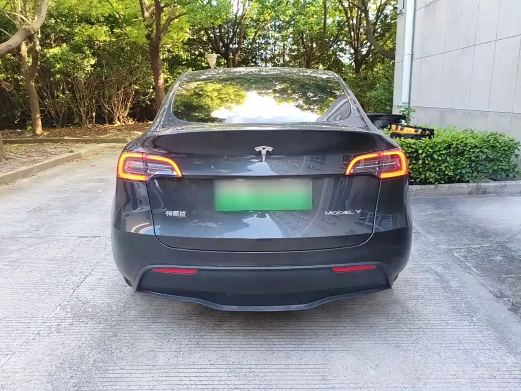 Tesla Model Y — фото 6