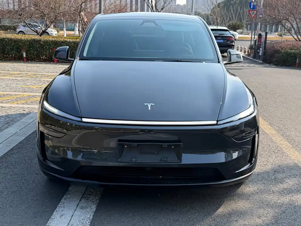 Tesla Model Y — фото 2