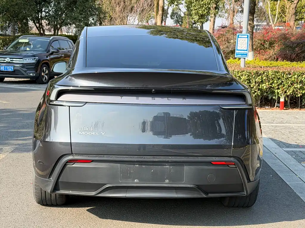 Tesla Model Y — фото 11