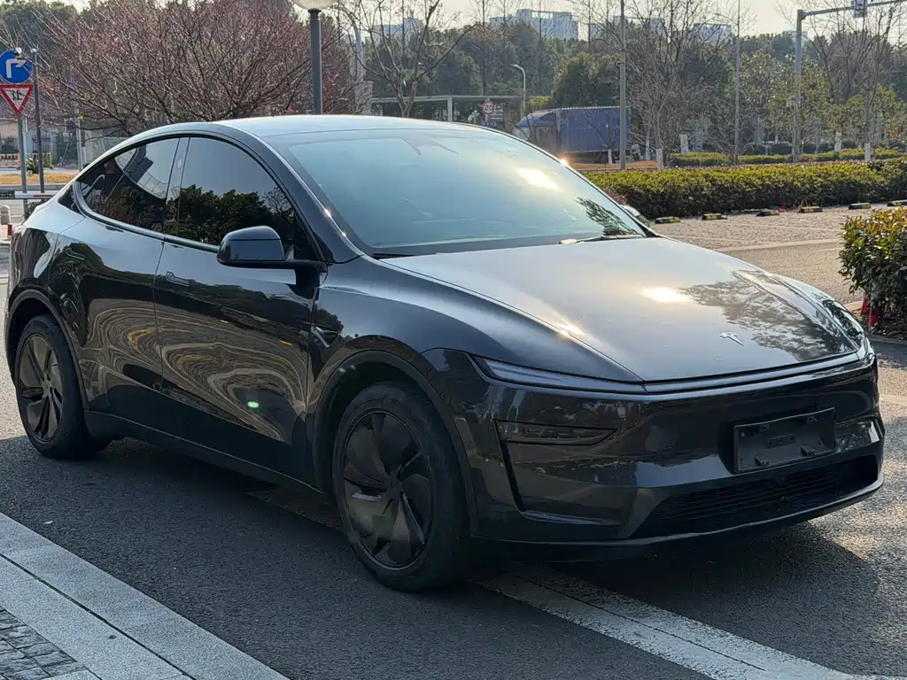 Tesla Model Y — фото 3
