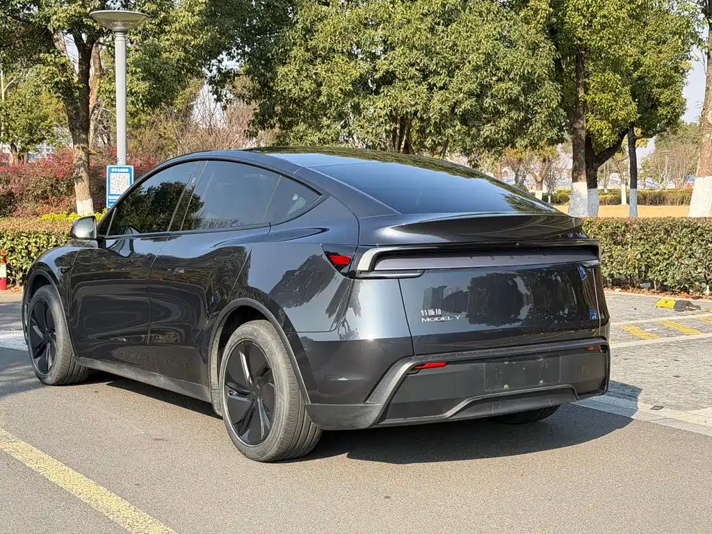 Tesla Model Y — фото 10