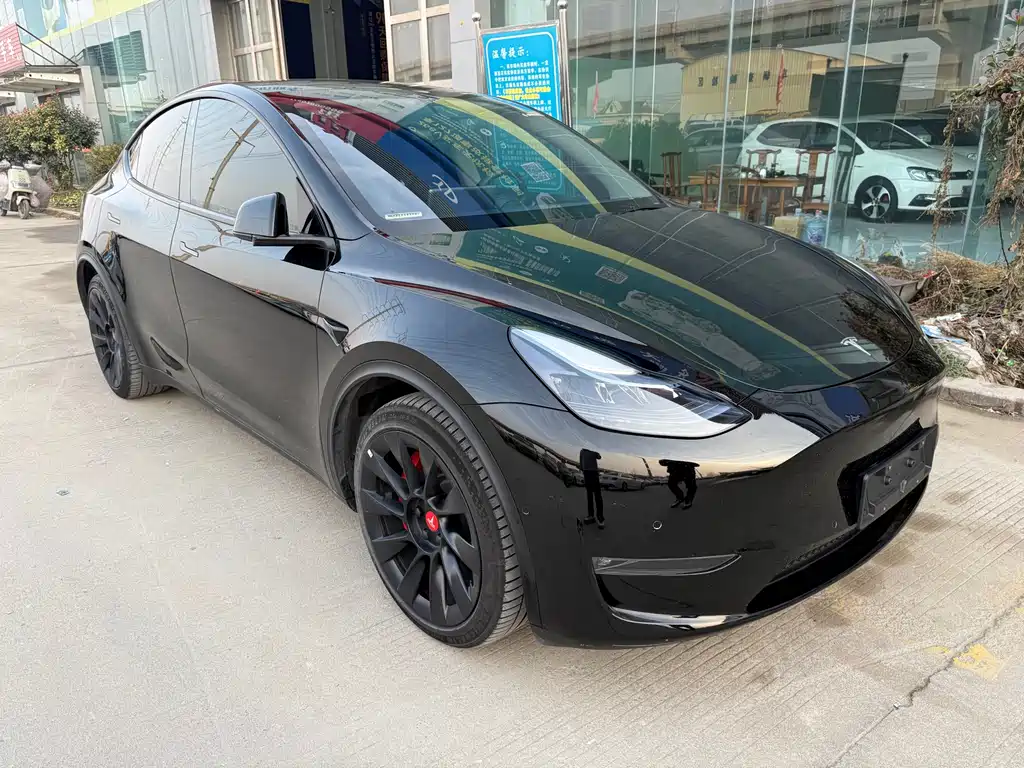 Tesla Model Y — фото 3
