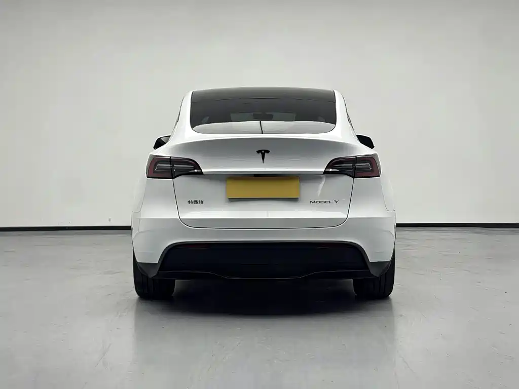 Tesla Model Y — фото 3