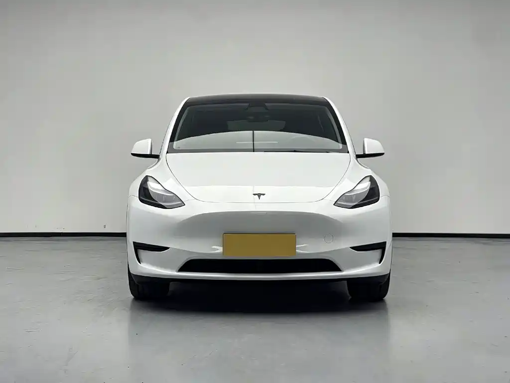 Tesla Model Y — фото 5