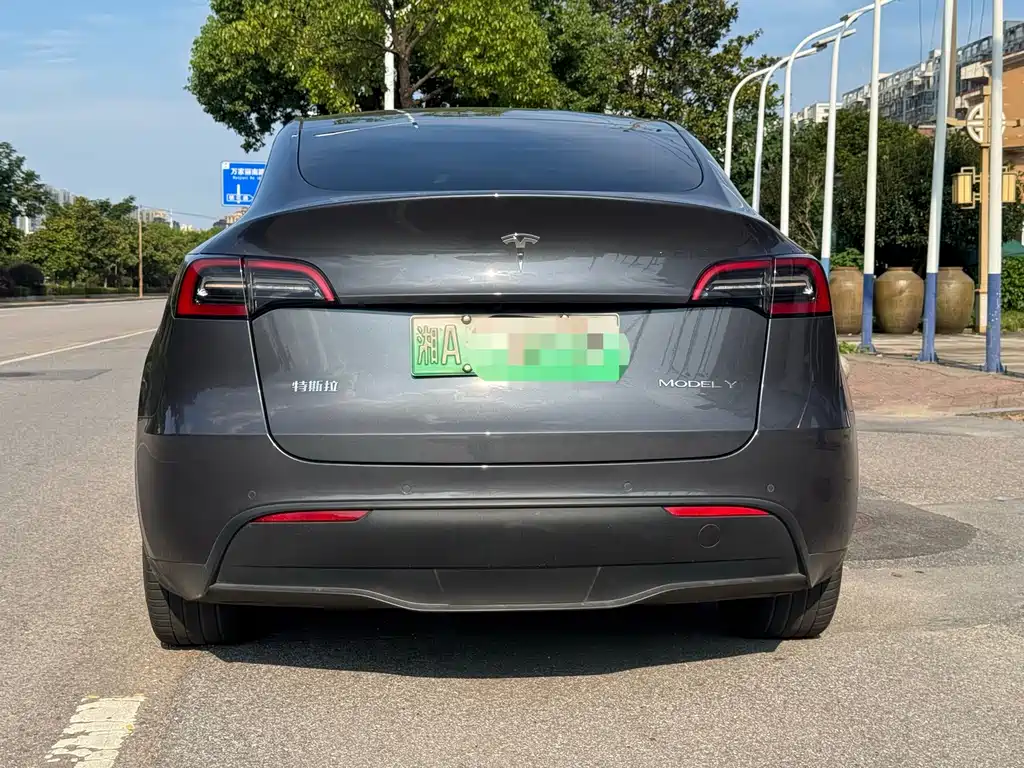 Tesla Model Y — фото 5