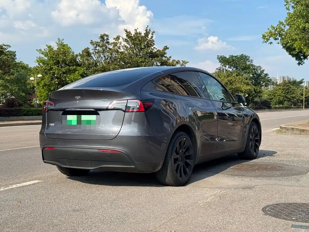 Tesla Model Y — фото 6