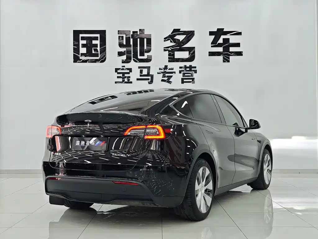 Tesla Model Y — фото 4