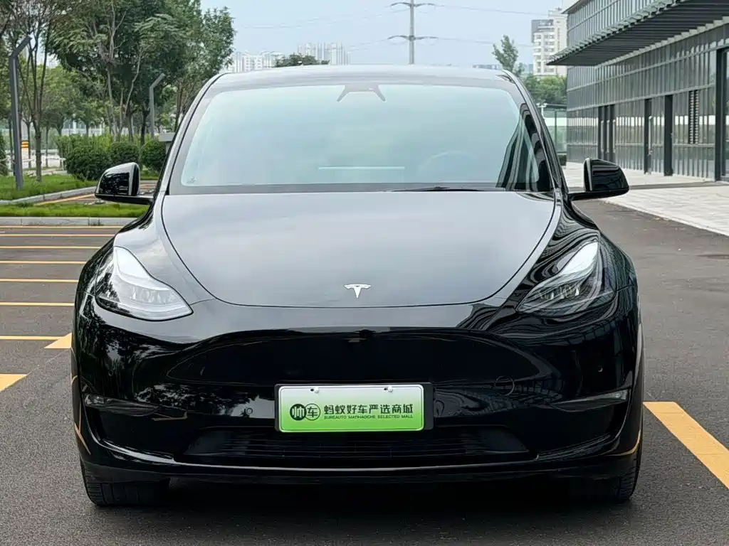 Tesla Model Y — фото 2