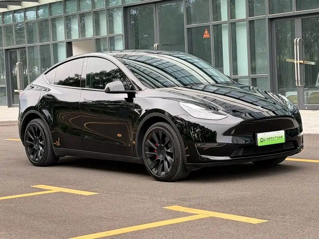 Tesla Model Y — фото 3