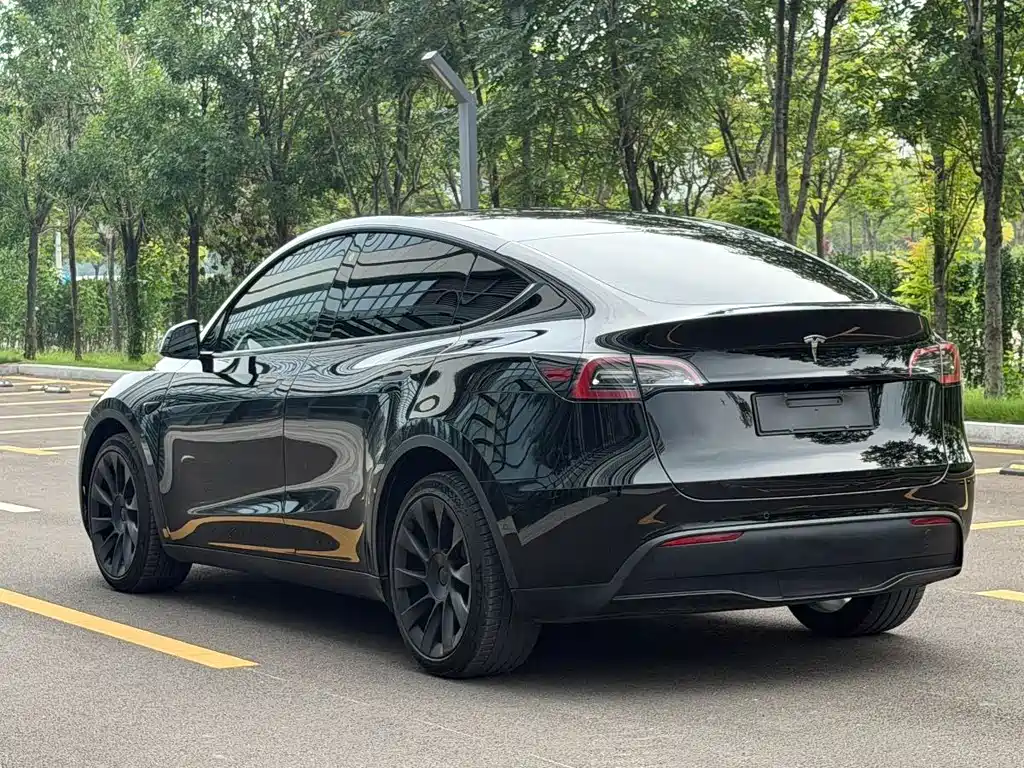 Tesla Model Y — фото 4