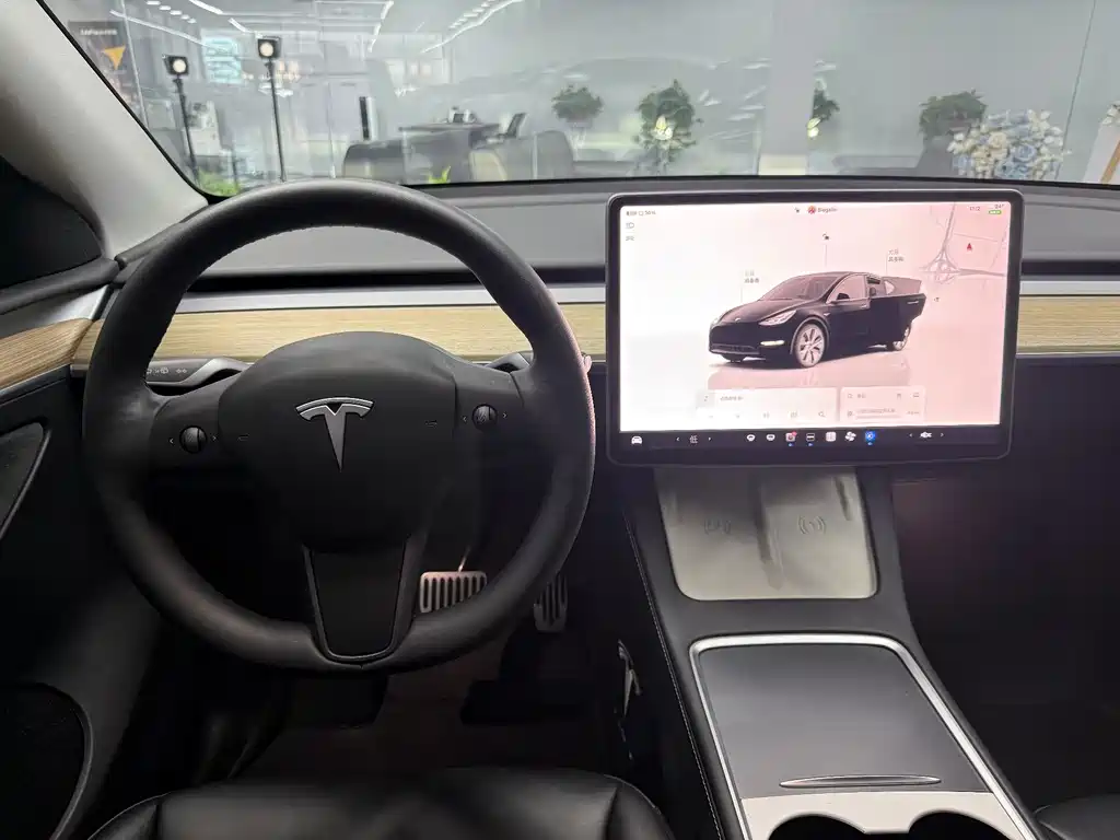 Tesla Model Y — фото 8