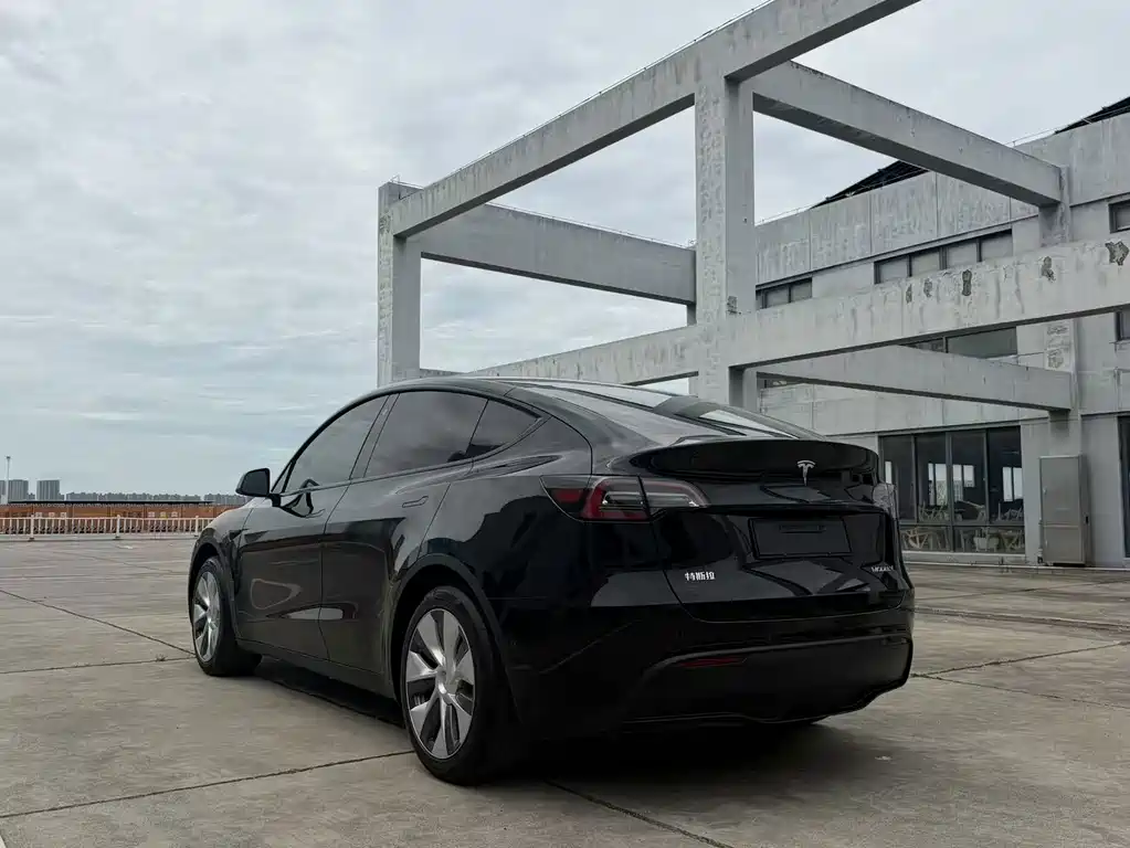 Tesla Model Y — фото 7