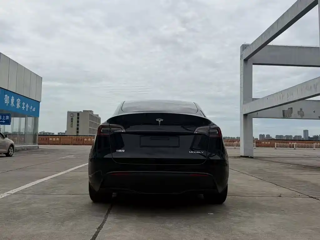 Tesla Model Y — фото 8