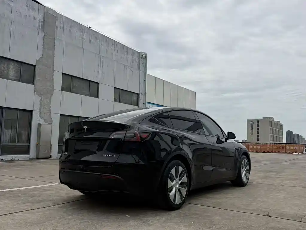 Tesla Model Y — фото 9