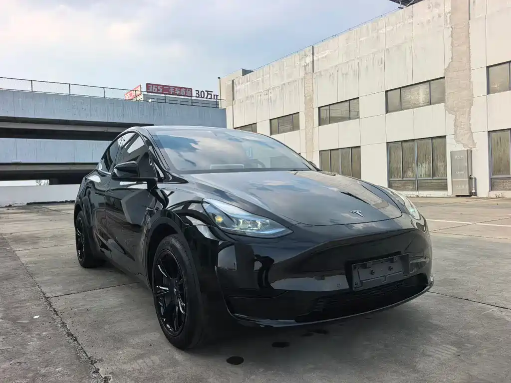 Tesla Model Y — фото 3