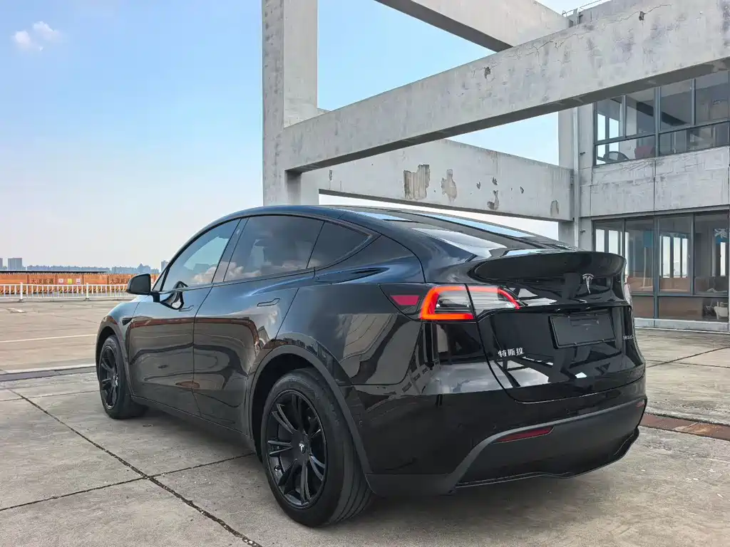 Tesla Model Y — фото 7