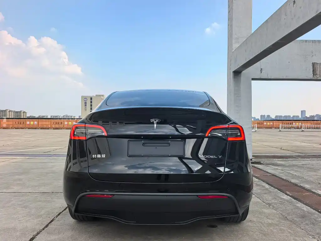 Tesla Model Y — фото 8