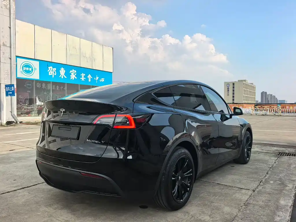 Tesla Model Y — фото 9