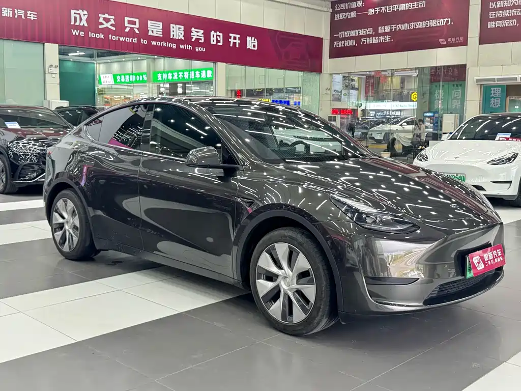 Tesla Model Y — фото 3